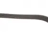 Ремінь генератора VW Golf/Skoda Octavia 2.0i 04-13/Mazda 2/3 1.5 13-/Kia Ceed/Cerato 1.4/1.6 07- Gates 6PK955 (фото 4)