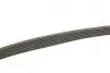 Ремінь генератора VW LT 2.8TDI 116KW (+AC) Gates 6PK2153 (фото 3)