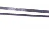 Пасок поліклиновий 3PK1040 Contitech 3PK1038 (фото 3)
