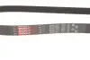 Ремінь генератора Peugeot Bipper 1.4HDI Gates 6PK1353 (фото 4)