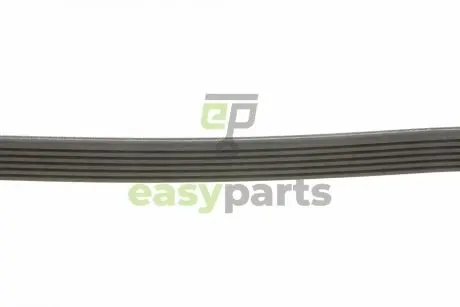 Ремінь генератора VW LT 2.5TDI 96-01/Peugeot Expert 1.9D/2.0HDI 98- Gates 6PK1753