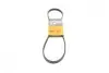 Ремінь генератора Toyota Yaris 99-14/Corolla 92-95/Mazda Premacy 99-05/626 91-02/323 98-04 Contitech 4PK920 (фото 1)