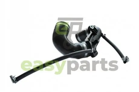 Патрубок повітрозабірника Kangoo 1.5dCi 01- ASAM 30874