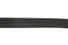 Ремінь генератора Citroen Berlingo 1.6 00-08/ Nemo 1.4i 08- Gates 6PK1560 (фото 4)
