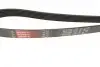 Ремінь генератора VW T4/Renault Laguna II/Peugeot 407/807/Citroen C5/C8 2.0-3.0 90-10 Gates 6PK1590 (фото 2)