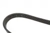 Ремінь генератора VW T4/Renault Laguna II/Peugeot 407/807/Citroen C5/C8 2.0-3.0 90-10 Gates 6PK1590 (фото 3)