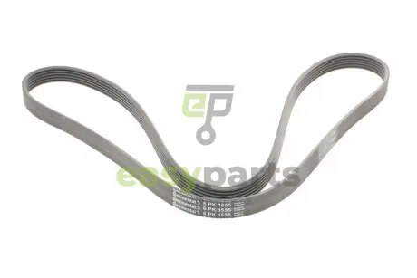 Ремінь генератора VW T5/Amarok 2.0TDI 09-/Ford Focus/Kuga/Galaxy 98-/Opel Astra J/Insignia A 1.6 08- Contitech 6PK1555