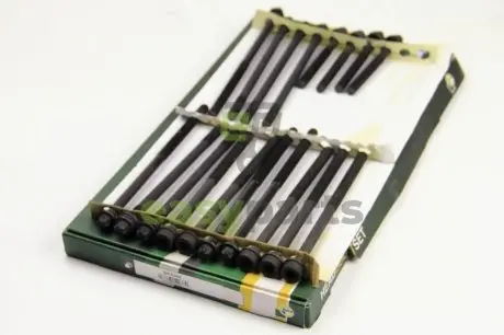 Болти головки блоку Laguna 2.2D/dT 96-01 BGA BK5366