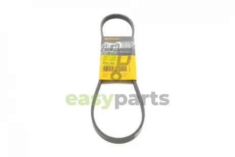 Ремінь генератора Honda Civic/Nissan Primera Contitech 4PK845