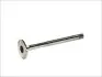 Выпускной клапан (31x8x104,5) VOLVO 240, 740, 760, 780, 940, 940 II, 960; AUDI 100, 80; VW CADDY I, GOLF I, GOLF II, JETTA I, JETTA II, LT 28-35 I, LT 40-55 I, PASSAT, SANTANA 1.5D-2.4D 08.76-10.98 FRECCIA 3647/R (фото 1)