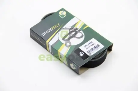 Ремінь генератора T5 2.0TDI BGA 6PK1555