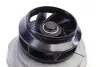 Помпа води VW Caddy III 1.6/BiFuel 04-15 (23z), BGU, BSE, BSF, CHGA 538 0088 10