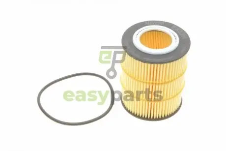 Фільтр масляний Citroen C5/Peugeot 407 3.0HDI 09-/Land Rover Discovery/Range Rover Sport 3.0TD 09- HENGST FILTER E832HD317