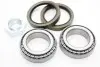 Пiдшипник ступицi перед. L/P Citroen Jumper/Fiat Ducato/Peugeot Boxer 1.9D-2.5TD 94-01 DELLO / AUTOMEGA 110124210 (фото 1)