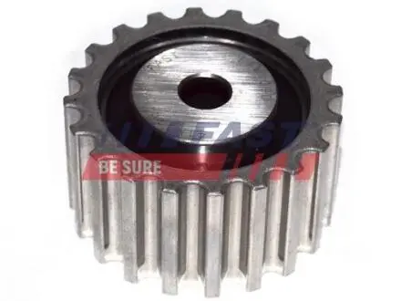 59,5X10X31 Ролик паска приводного Opel Movano/Renault Laguna/Megane/Volvo S40 I (VS) 96- FAST FT44090