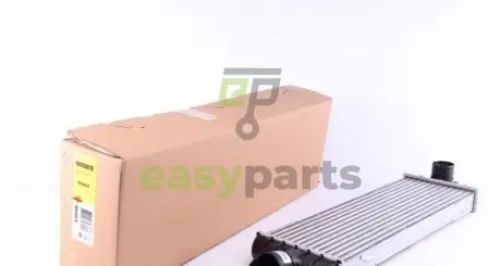 Радіатор інтеркулера Renault Trafic 2.5 dCi 01- NRF 30876