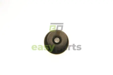 Гідрокомпенсатор Renault Kangoo 1.5 CDI-1.9d 96-/Trafic 1.9DCI 01- (7.55mm) KOLBENSCHMIDT 50 007 540