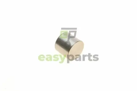 Гідрокомпенсатор Renault Clio III 1.5/1.9 dCi 94- KOLBENSCHMIDT 50 007 543