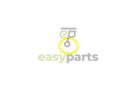 Прокладка термостата EGR 3 (E36/E46)/5 (E60/E61) (19x2.5mm) (кільце) BMW 11 53 2 248 435