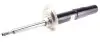 Амортизатор (передній) BMW 5 (E60) 03-10 (B4)(L/R) BILSTEIN 22-138361 (фото 1)