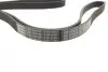 Ремінь генератора поліклиновий Peugeot 206/406/806/Expert/Fiat Scudo/Citroen C5/C8/Jumpy 1.9D/2.0HDI 95- BOSCH 1 987 948 496 (фото 2)