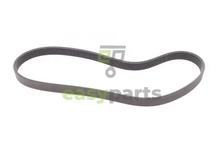 Ремінь генератора VW Caddy/Golf/Skoda Octavia 1.6/2.0 04-15/Fiat Ducato 2.5TDI 94-02/Scudo 1.6 96-06 Contitech 6PK900