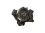 Водяна помпа Citroen/Fiat/Peugeot 3.0HDI 04-06- FAST FT57147 (фото 1)