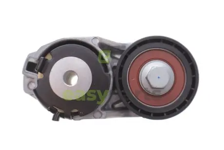 Натяжник ременя генератора Ford Transit 2.0TDCI 00- SNR NTN GA352.47