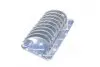 Вкладиші корінні (+0.25) VW GOLF 1.6/1.9TDi 00-14 SKODA FABIA 1.6/1.9TDi 00-10 MITSUBISHI LANCER 2.0D (ASZ/ARL/AVQ) KOLBENSCHMIDT 77 553 610 (фото 4)
