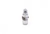Гідрокомпенсатор VW Crafter/T5/T6/ Caddy III/IV/V 1.6TDI/2.0TDI/BiTDI, 10- INA 420 0222 10 (фото 1)