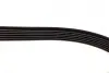 Ремінь генератора VW LT 2.8TDI 116KW (+AC) (6PK2155) BOSCH 1 987 946 041 (фото 4)