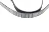Ремінь генератора Renault Kangoo/Logan/Scenic/Talisman 1.4/1.5 dCi/1.6 03-/Mazda 3/CX-3 1.5/1.8D 15- BOSCH 1 987 948 435 (фото 2)