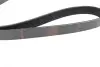 Ремінь генератора Renault Kangoo/Logan/Scenic/Talisman 1.4/1.5 dCi/1.6 03-/Mazda 3/CX-3 1.5/1.8D 15- BOSCH 1 987 948 435 (фото 3)
