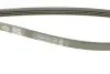 Ремінь генератора Renault Clio/Kangoo 1.4i/1.6 98-03 DAYCO 4PK1238 (фото 3)