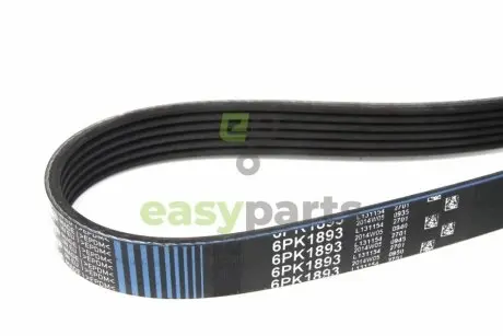Ремінь генератора VW T4 2.0i Gates 6PK1893