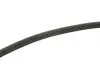 Ремінь генератора Toyota Hiace 2.4D/TD 95-01/Hyundai Getz 1.1 02-05 Contitech 4PK770 (фото 3)