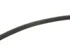 Ремінь генератора Toyota Hiace 2.4D/TD 95-01/Hyundai Getz 1.1 02-05 Contitech 4PK770 (фото 9)