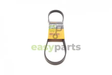 Ремінь генератора BMW 3 (E36)/5 (E34/E39) 95-03 Contitech 5PK906