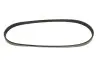 Ремінь генератора Ford Transit 2.0 TDCI 00-06 Gates 4PK738 (фото 1)