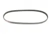 Ремінь генератора Nissan Almera/Primera/Sunny 1.0-5.0 82- Gates 4PK813 (фото 5)