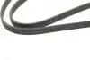 Ремень генератора BMW 1 (E81/E87)/3 (E90) 2.0/3.0d 06-12 (N47) (6PK1698) BOSCH 1 987 946 215 (фото 5)