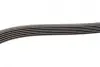 Ремінь генератора MB W202/203/VW/Audi 2.4/2.8i (6PK1760) BOSCH 1 987 946 037 (фото 3)