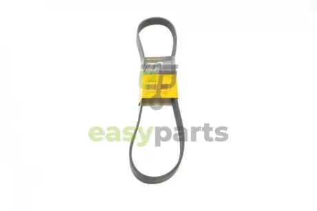 Ремінь генератора Renault Master/Opel Movano 2.2/2.5DCI 01-/Nissan Micra/Note/Tiida 1.6 05- Contitech 7PK1145