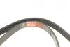 Ремінь генератора Citroen Jumper 3.0HDI 06- Gates 5PK1023 (фото 4)