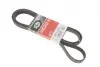 Ремінь генератора VW T4 2.5 90-03/Ford Fiesta/Mondeo 1.8/2.0 00-08/Jeep Grand Cherokee 4.7 01-08 6PK2223