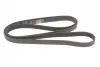 Ремінь генератора VW T4 2.5 90-03/Ford Fiesta/Mondeo 1.8/2.0 00-08/Jeep Grand Cherokee 4.7 01-08 Gates 6PK2223 (фото 4)