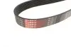 Ремінь генератора Honda CR-V 2.0 01-06 Gates 7PK1730 (фото 2)