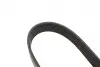 Ремінь генератора Honda CR-V 2.0 01-06 Gates 7PK1730 (фото 4)