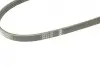 Ремінь генератора Suzuki Baleno 95-02/ Toyota Auris/Verso 1.3-1.6 i 10- (4PK900) BOSCH 1 987 948 349 (фото 4)