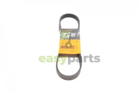 Ремінь генератора Citroen Berlingo/Peugeot Partner 1.6HDI Contitech 6PK800